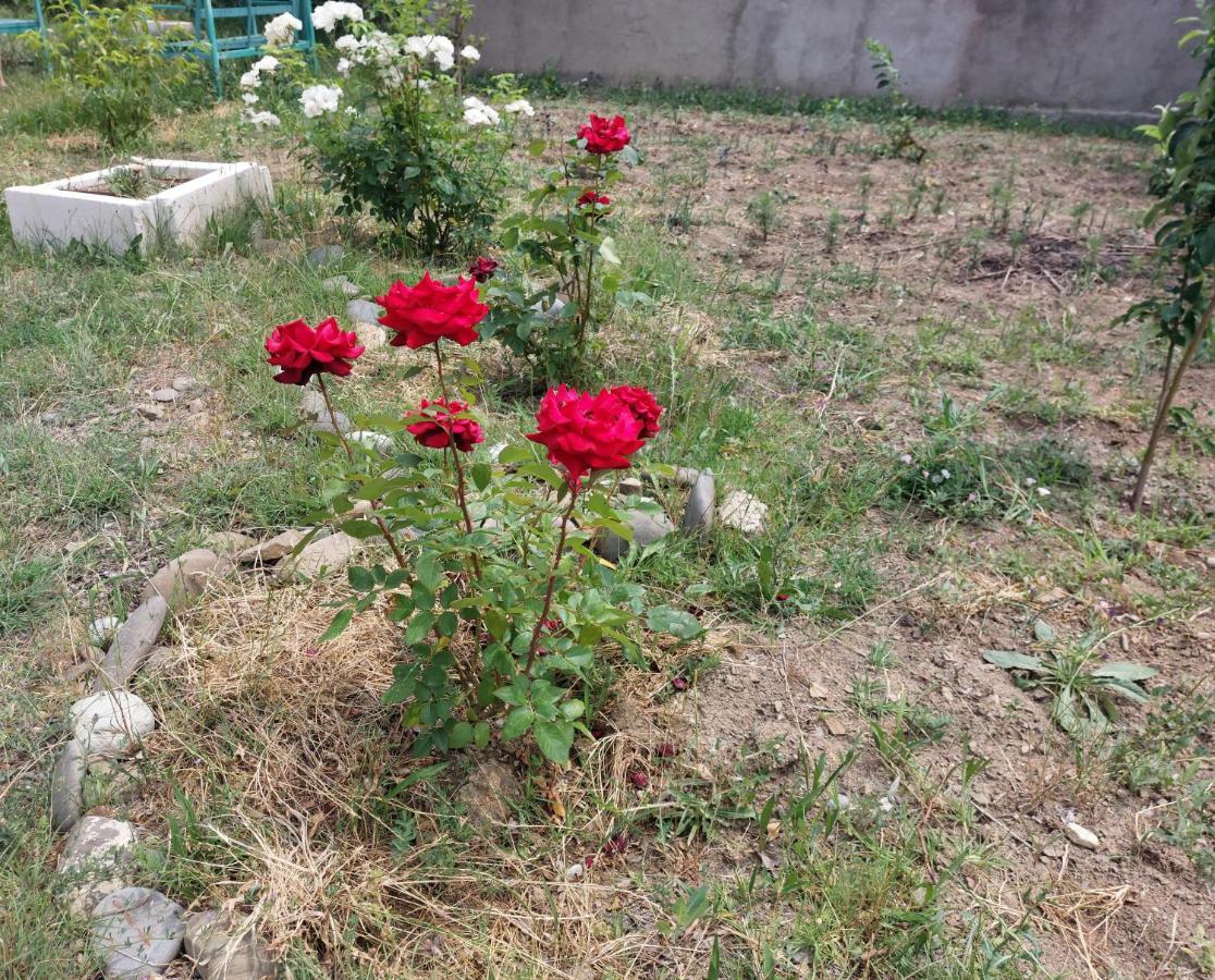 Green House In Vazisubani Tiflis Dış mekan fotoğraf