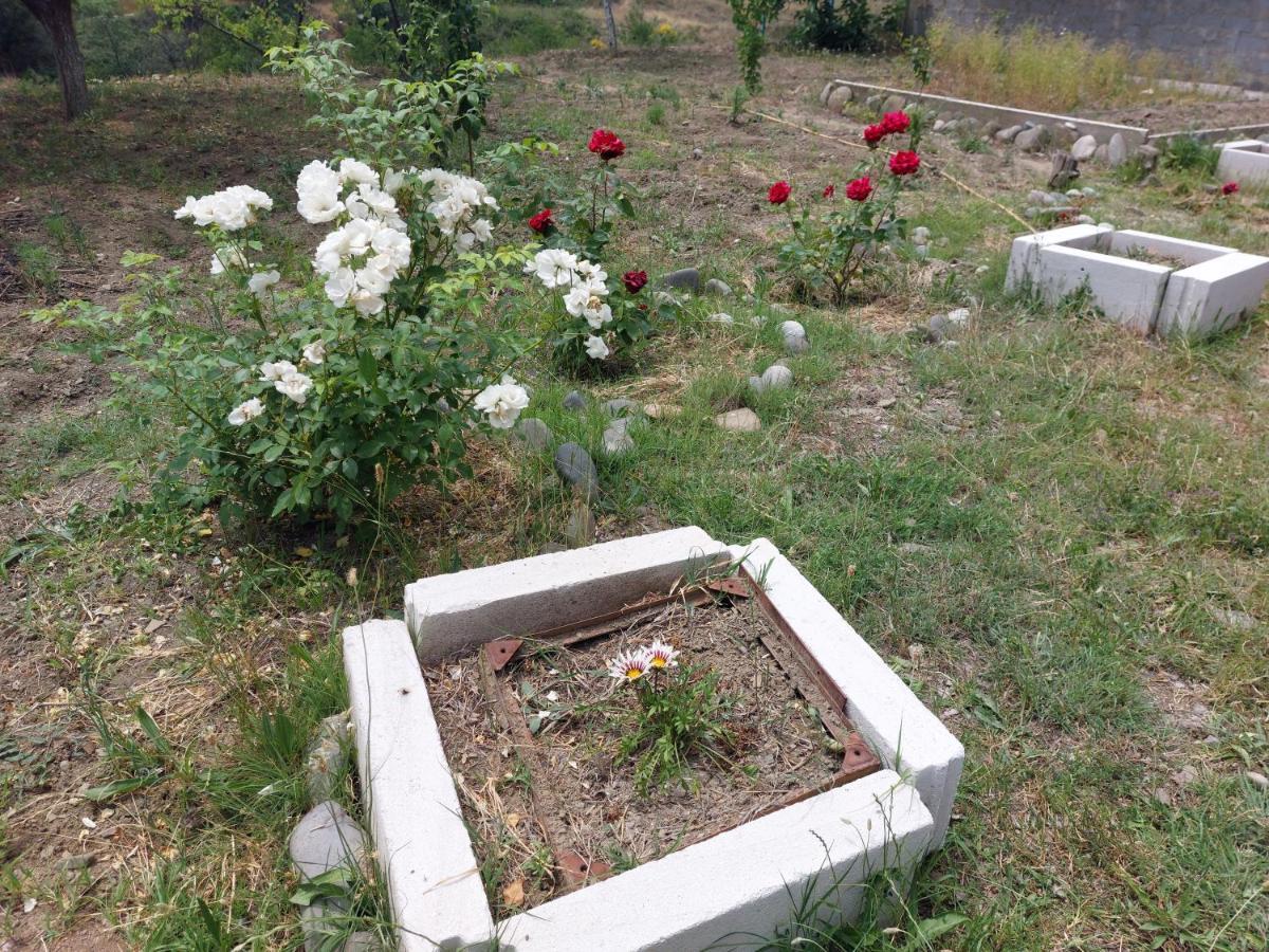 Green House In Vazisubani Tiflis Dış mekan fotoğraf