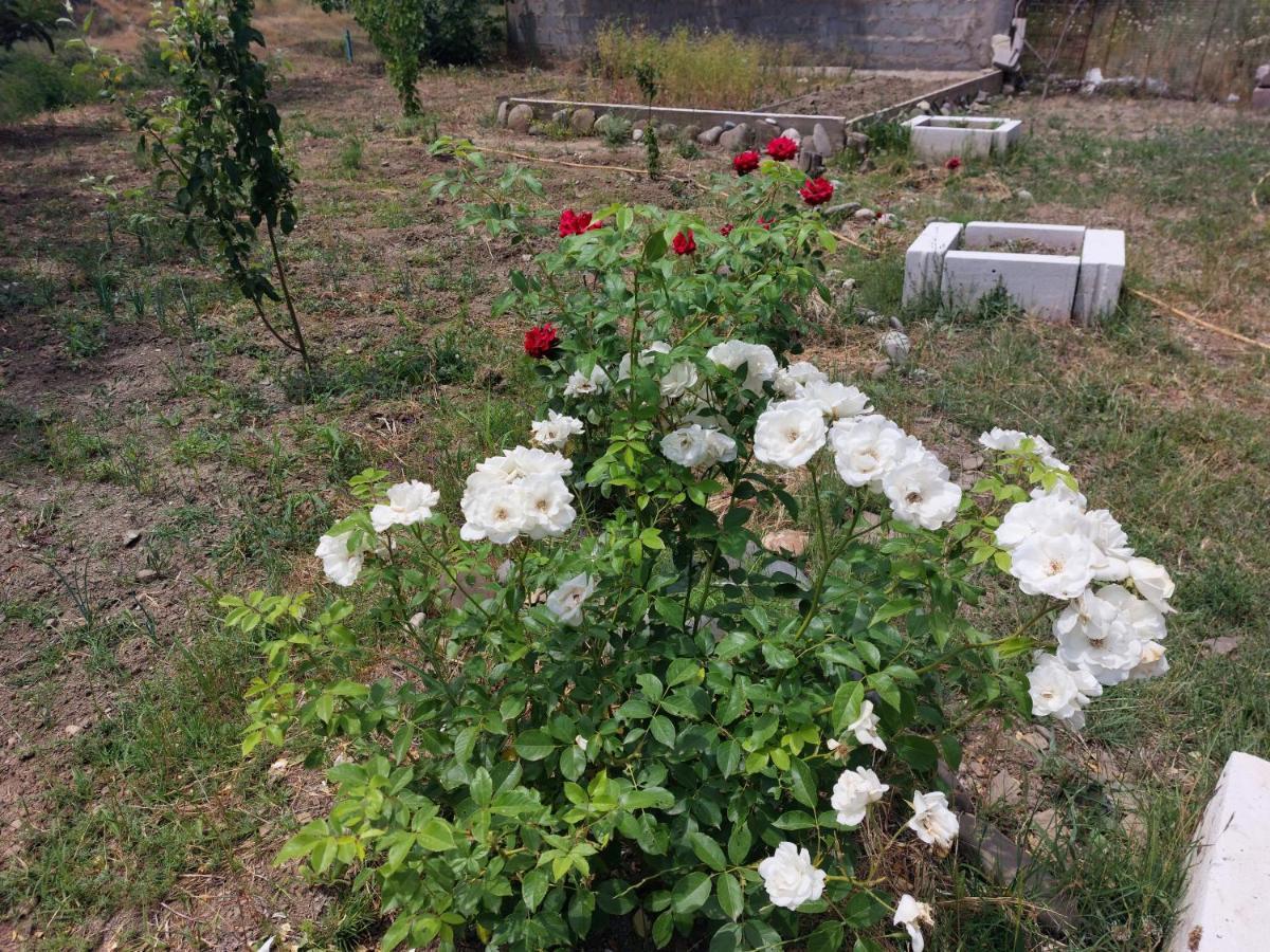 Green House In Vazisubani Tiflis Dış mekan fotoğraf